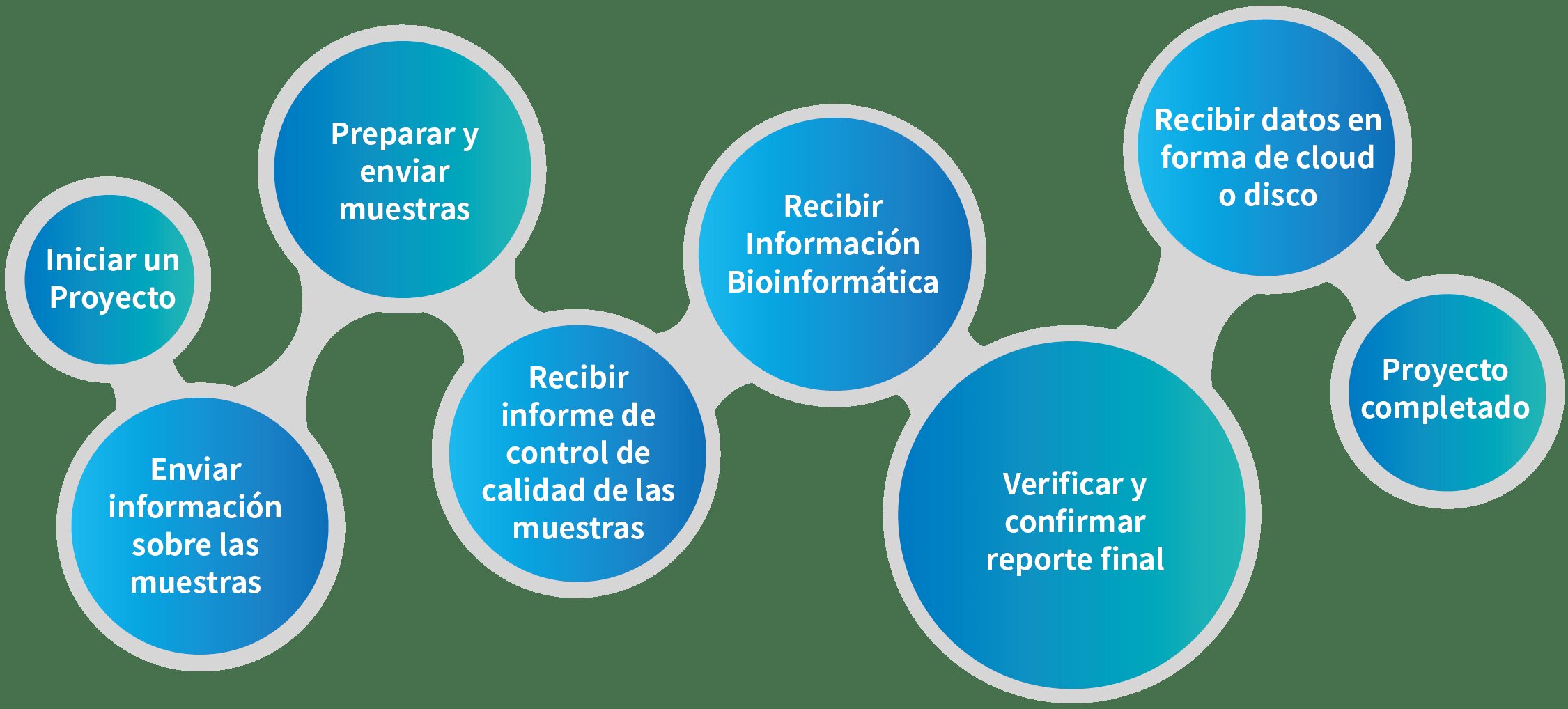 5. Servicios de Investigación de Personas