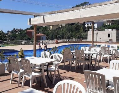 Alquiler de Coches en Lloret de Mar: Encuentra las Mejores Ofertas y Precios 19 Agencias de Alquiler Locales en Lloret de Mar