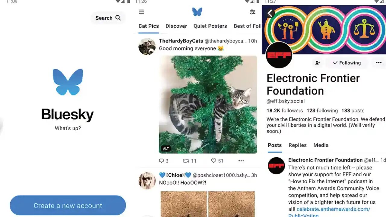 Propietario de Bluesky Social: quién está detrás de la red social emergente 38 ¿Cómo se estima el número de usuarios de Bluesky?
