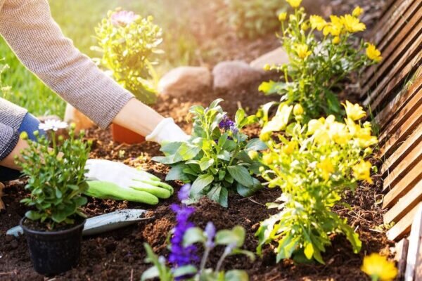Mantenimiento y Limpieza de Muebles de Jardín: Guía Completa para su Cuidado 11 ¿Cómo se realiza el mantenimiento de un jardín?
