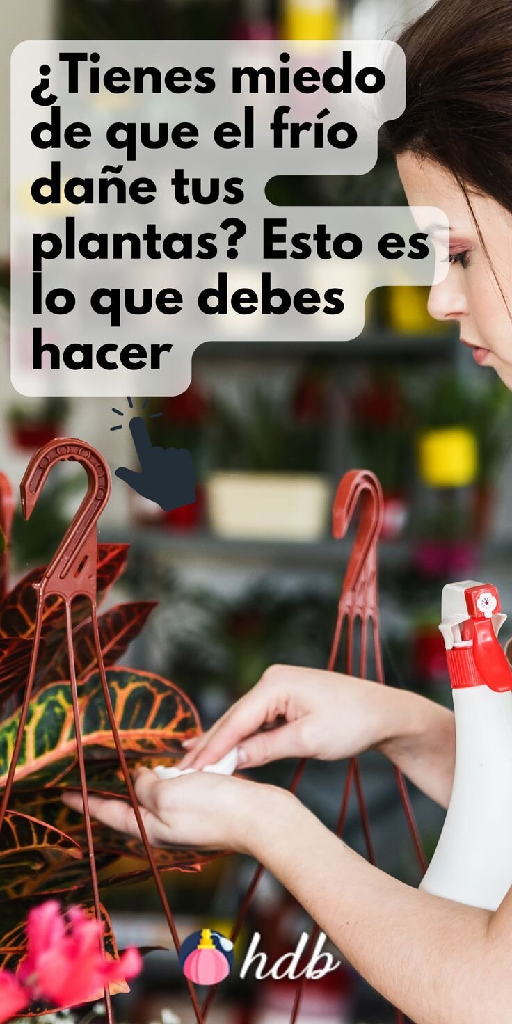 Mantenimiento y Limpieza de Muebles de Jardín: Guía Completa para su Cuidado 10 Cuidados adicionales