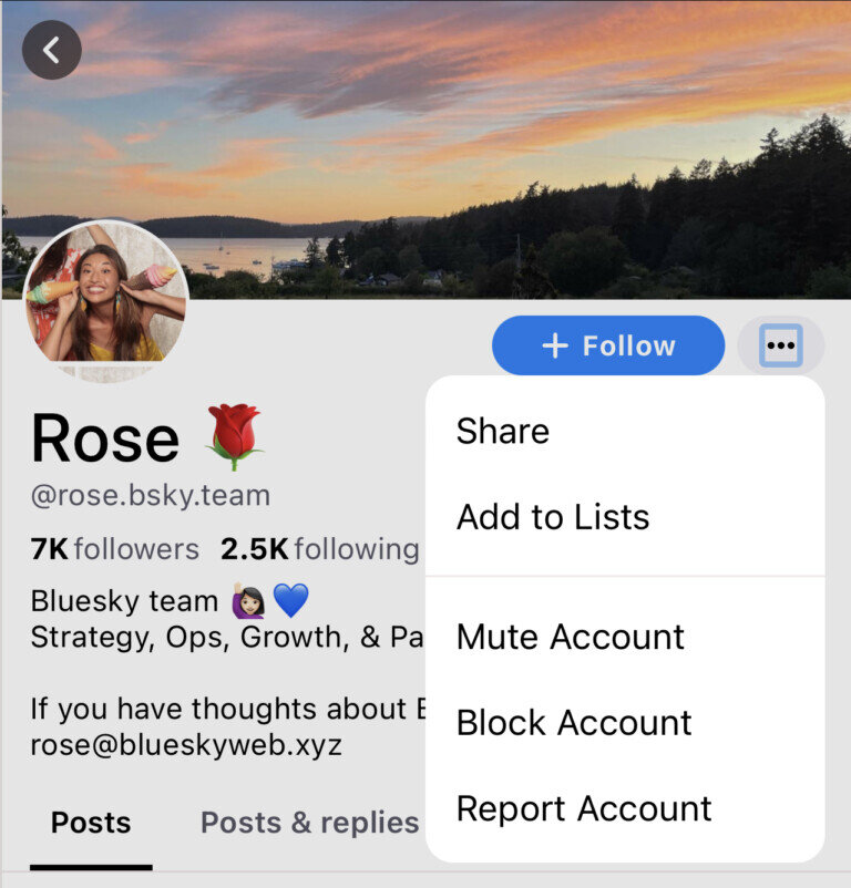 Propietario de Bluesky Social: quién está detrás de la red social emergente 26 ¿Cuál es la estructura de propiedad de Bluesky?