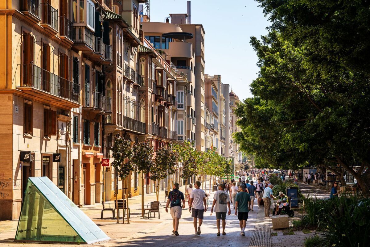 Videovigilancia en Palma