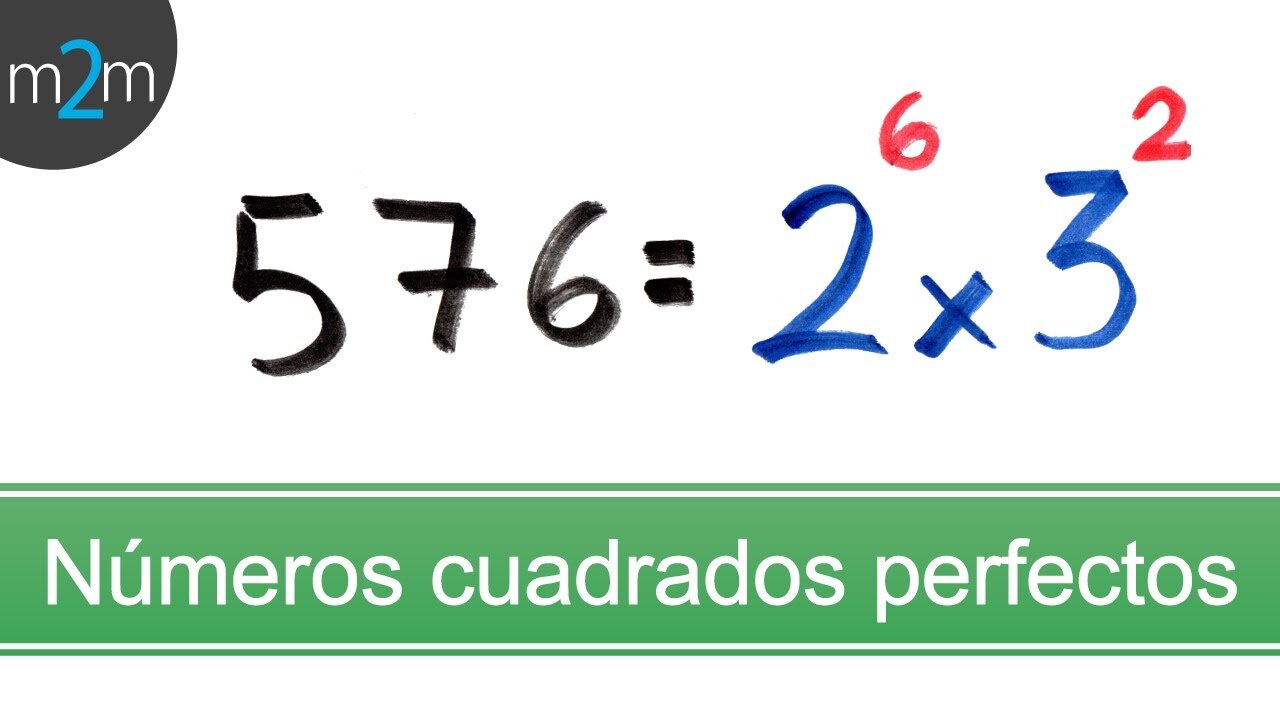 Dimensiones ideales para fotos de Instagram: evita recortes y optimiza tu contenido 16 Tamaño Ideal para Cuadradas Perfectos
